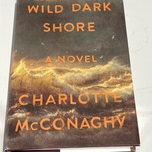 Wild Dark Shore Novel - Black and Orange